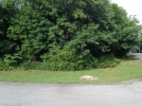Corner Lot: 0 Eastview Dr., Madison, AL