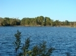 Country Home Site, Waterfront Home Site & Land Tracts
