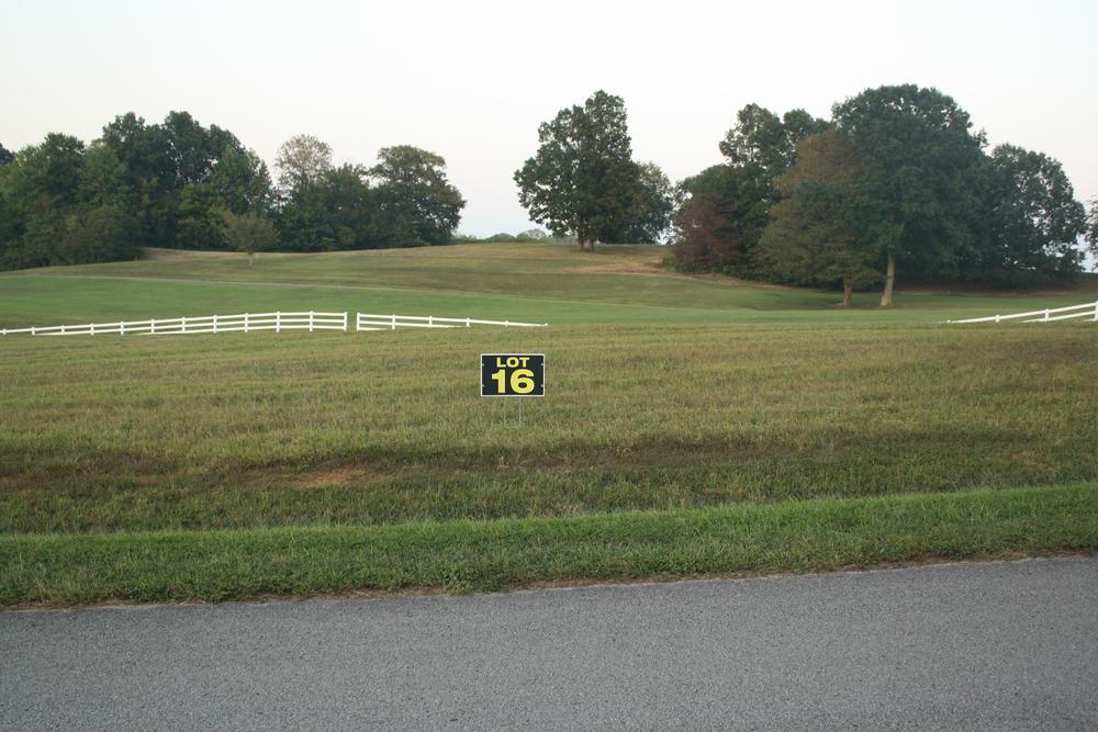 LOT 16