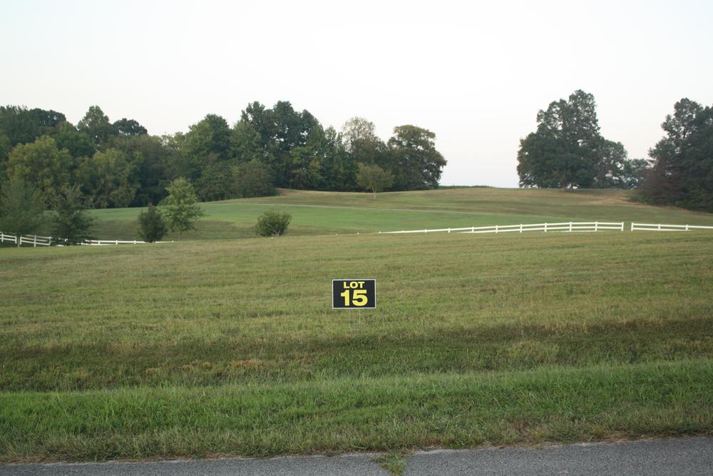 LOT 15