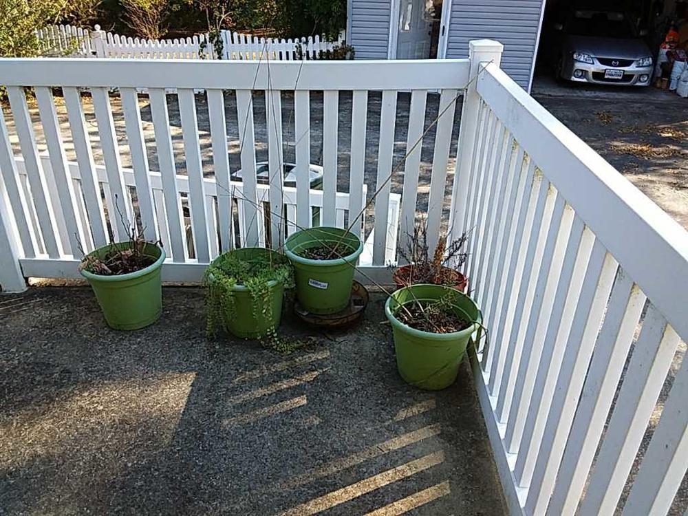 Flower pots