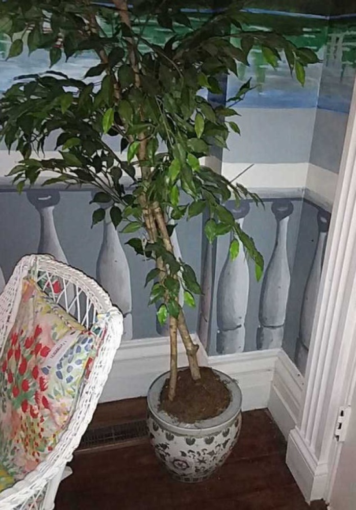 Artificial Plant with Oriental Planter