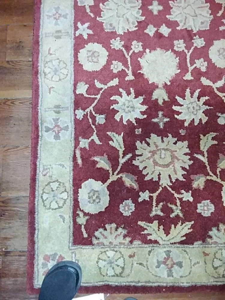 Safavieh Area Rug, approx. 5 ft. long x 3 ft wide