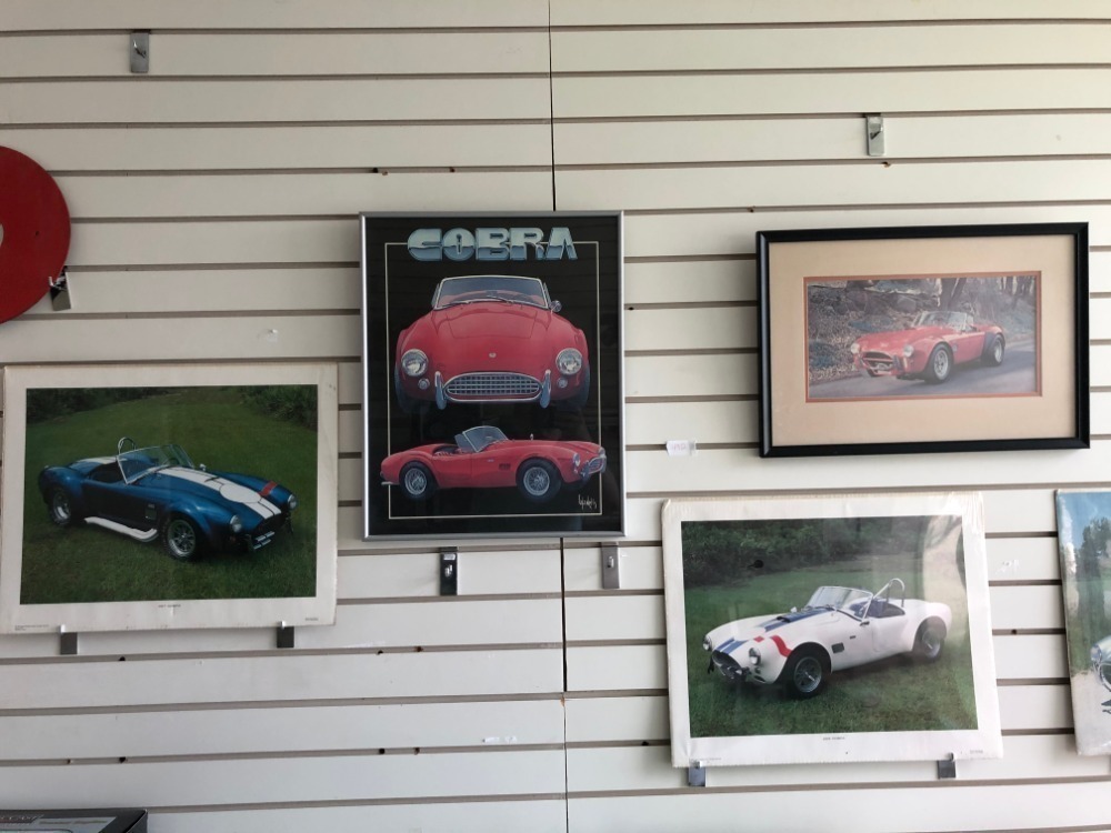 5 Cobra Photos image