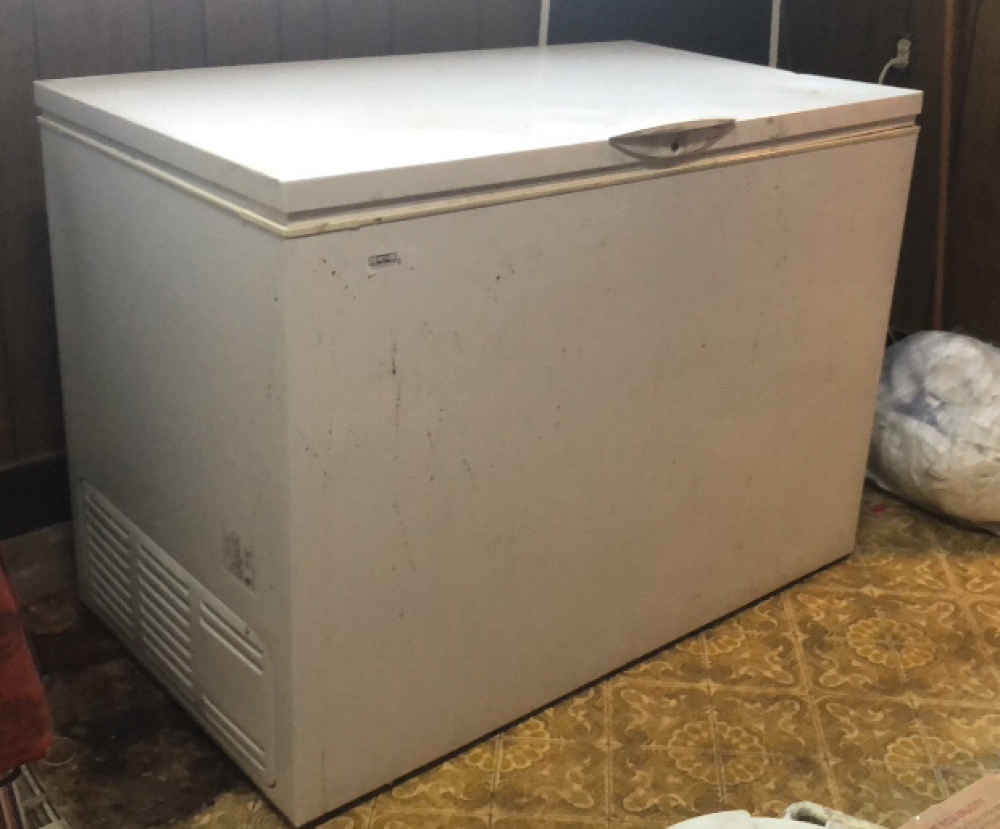Frigidaire Chest Freezer