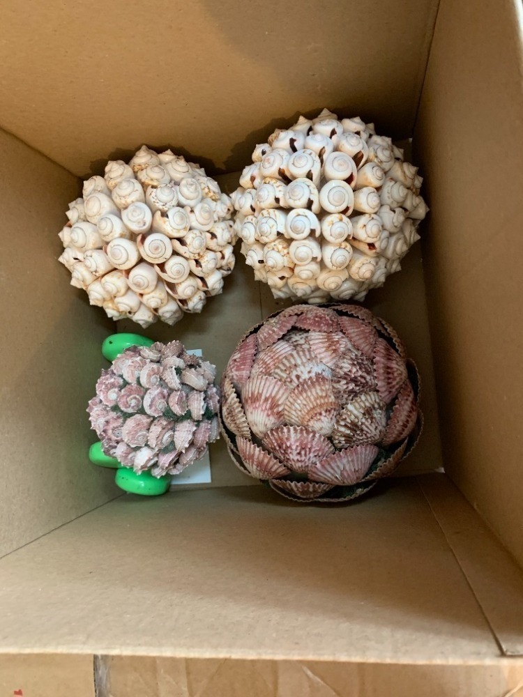 Box of 4 seashell round balls