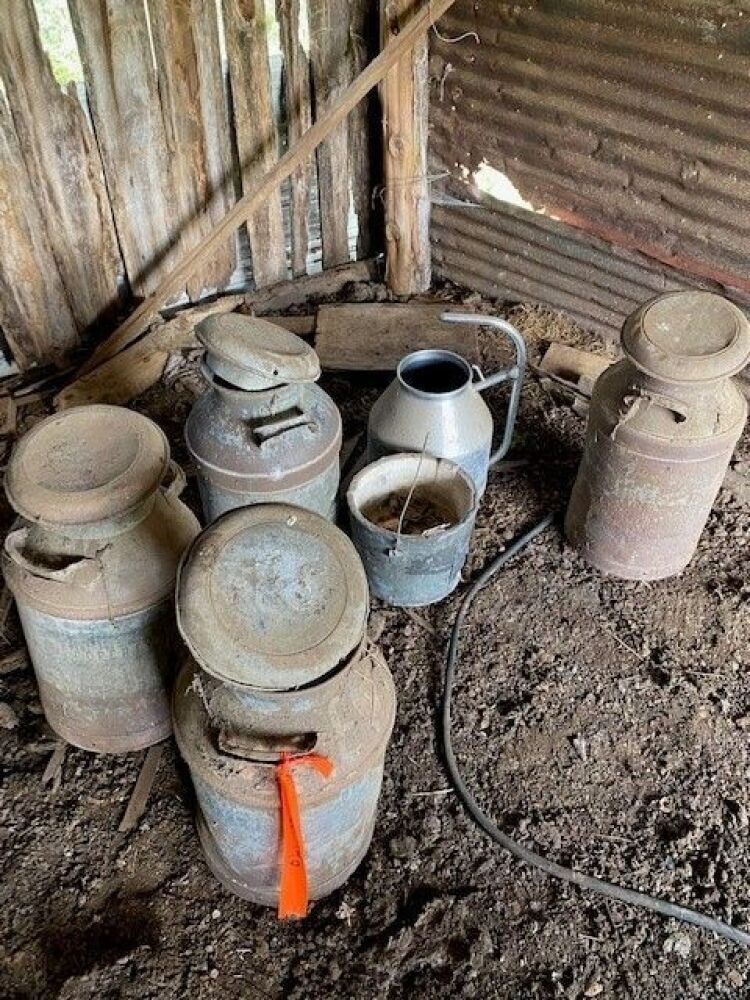 Several Old Milk Can