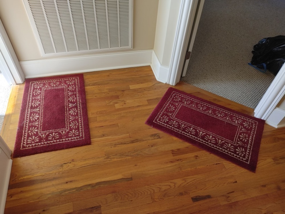 (2) Matching Floor Mats