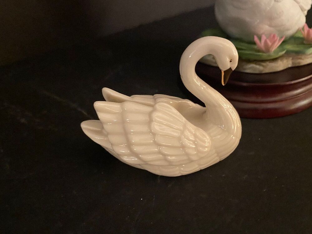 Swans