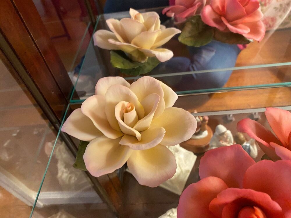 Porcelain Roses