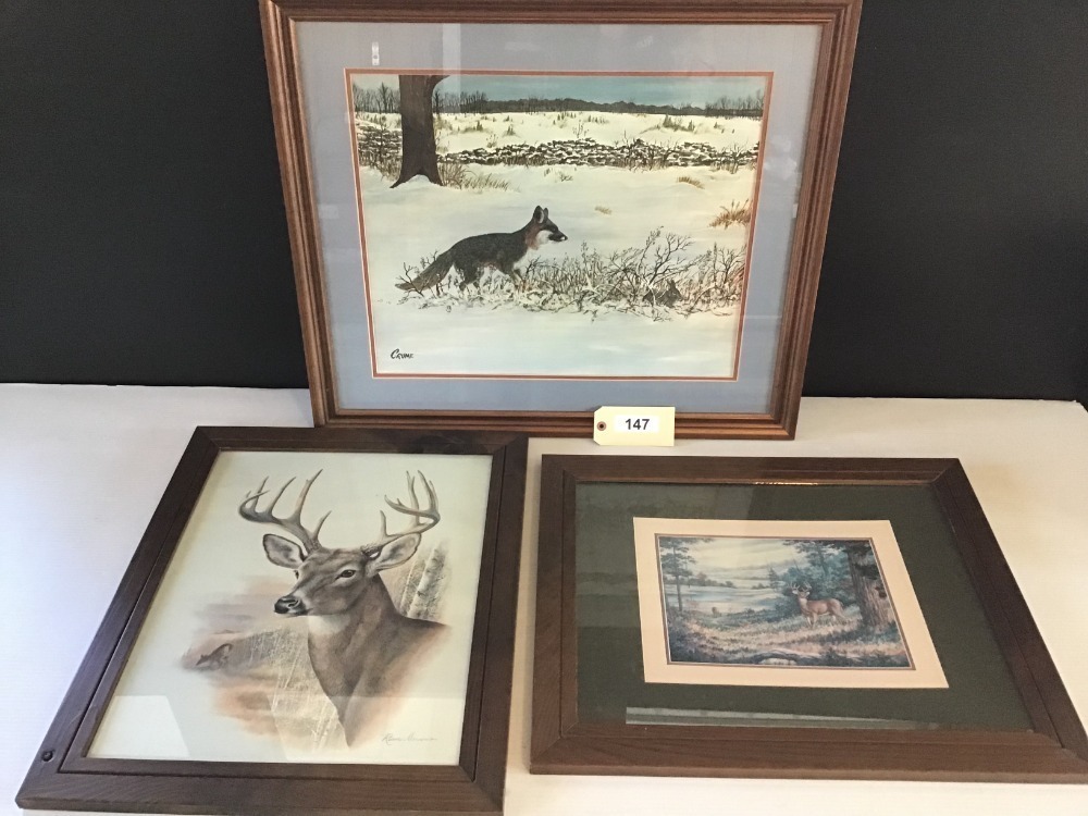 Three Large Wildlife Framed Prints