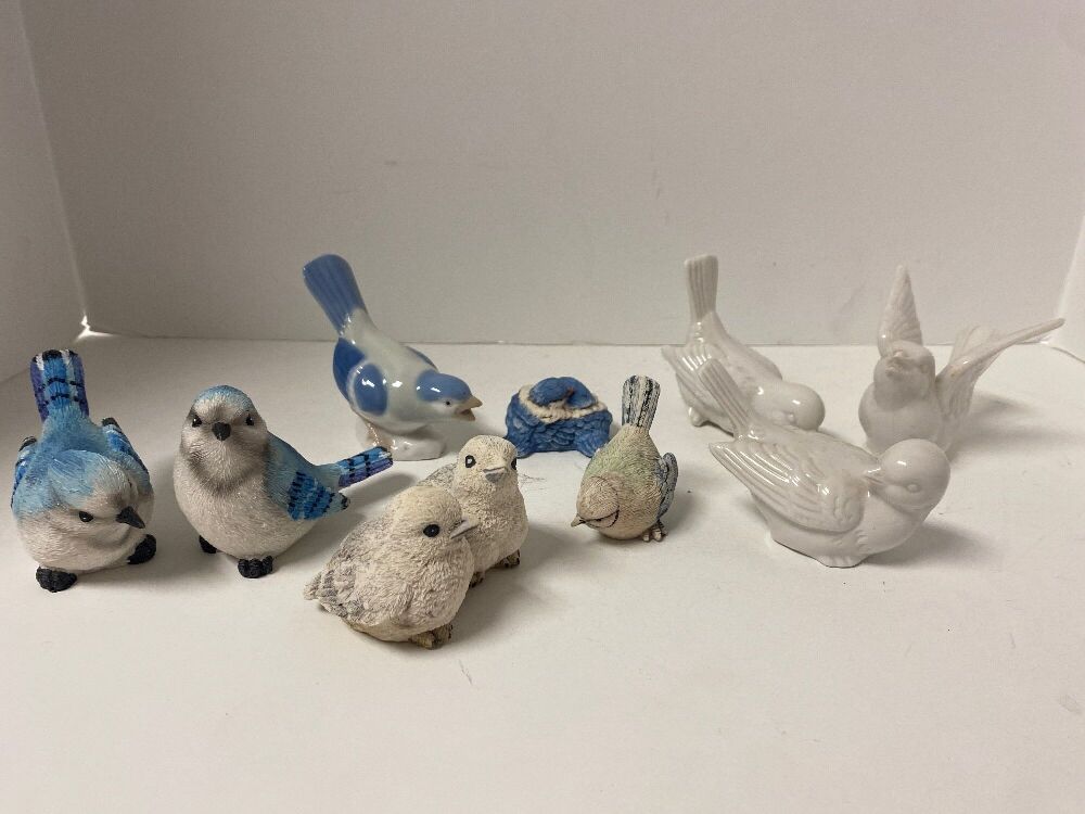 Bird Collection 5