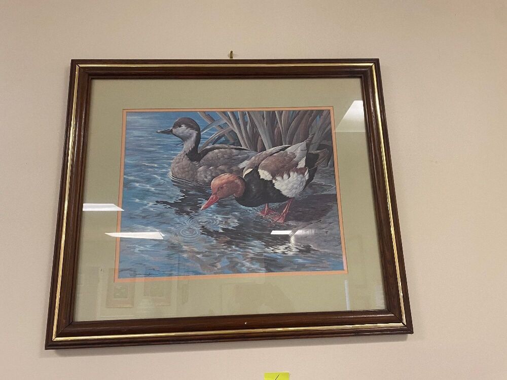 Duck Print