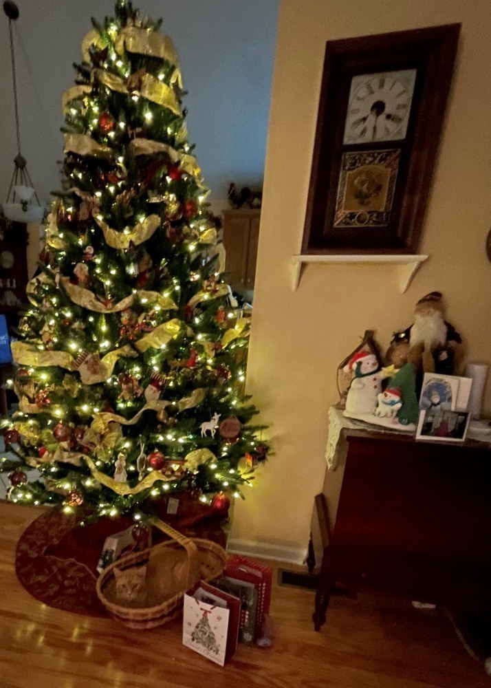 Lighted Christmas Tree (Decorations not Included)