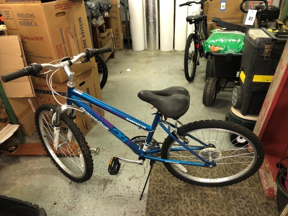 Roadmaster 24" Bicycle