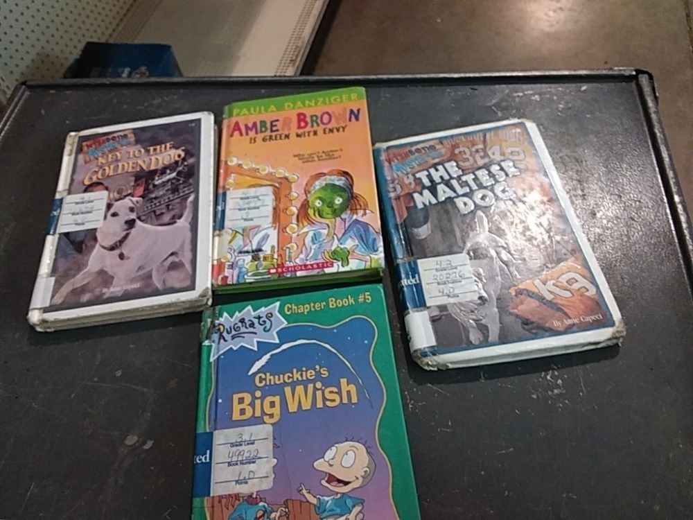 Children's Book Lot