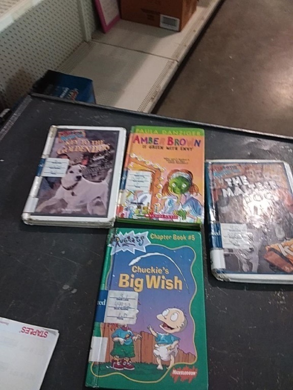 Children's Book Lot
