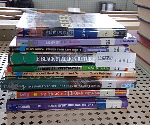 Children's Book Lot