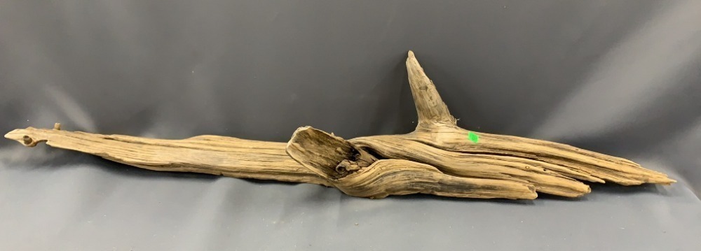 Driftwood 43"