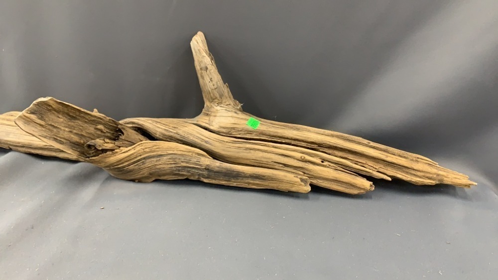 Driftwood 43"
