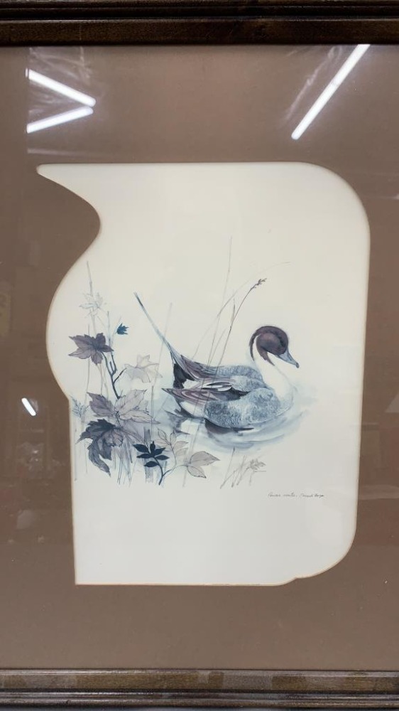 3 Pcs Of Duck Pictures 18 X 22 Of Largest