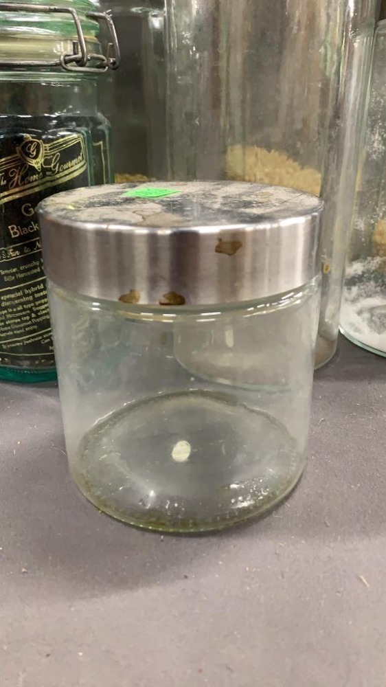 Canisters 13" Of Tallest