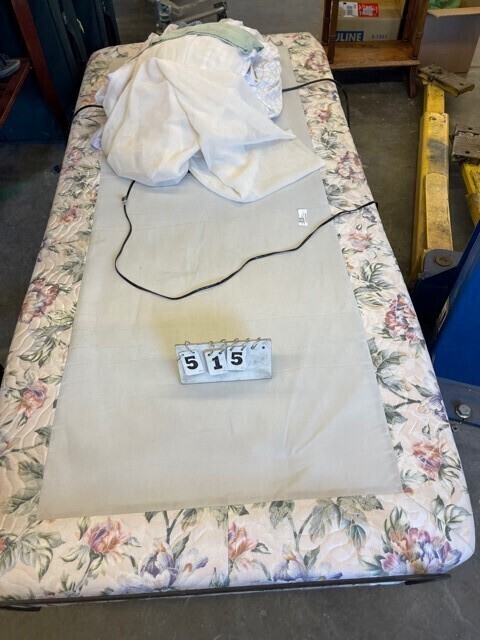 Single Electric Bed image