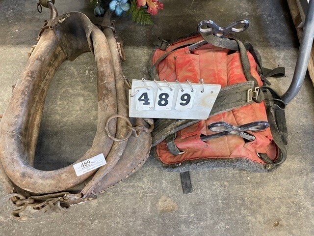 Pack Saddle And Collar image
