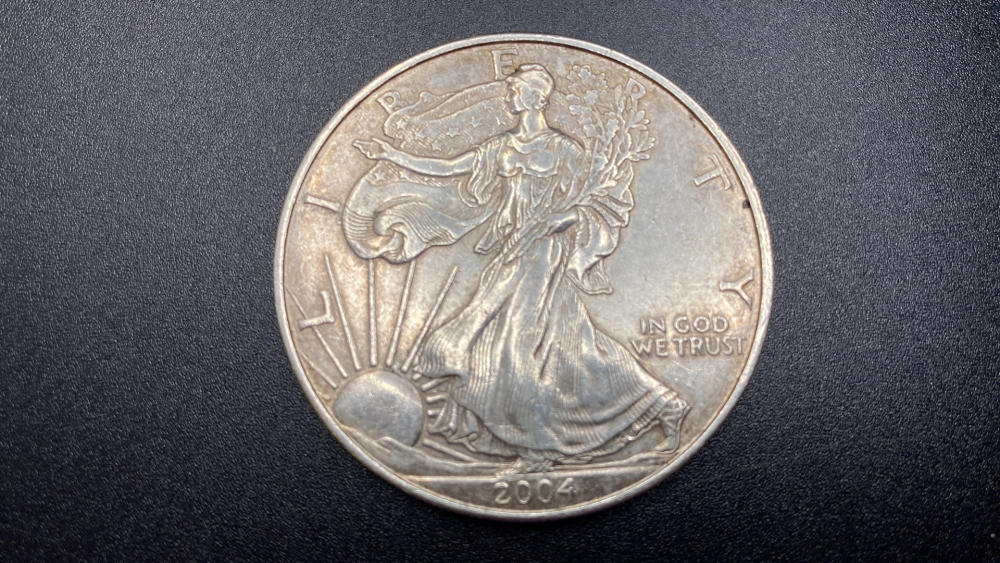 2004 WALKING LIBERTY SILVER DOLLAR