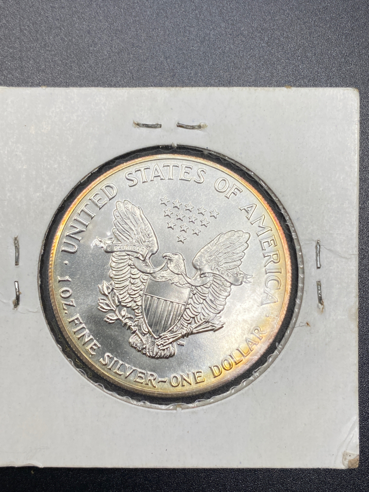 1989 SILVER EAGLE ONE DOLLAR COIN