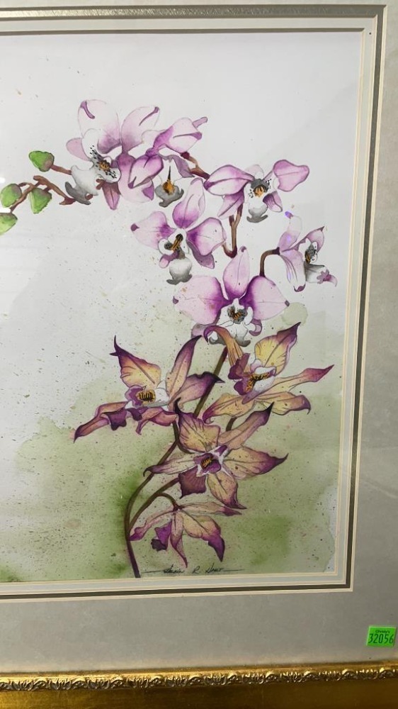 Helen Hart Framed Watercolor Of Orchids