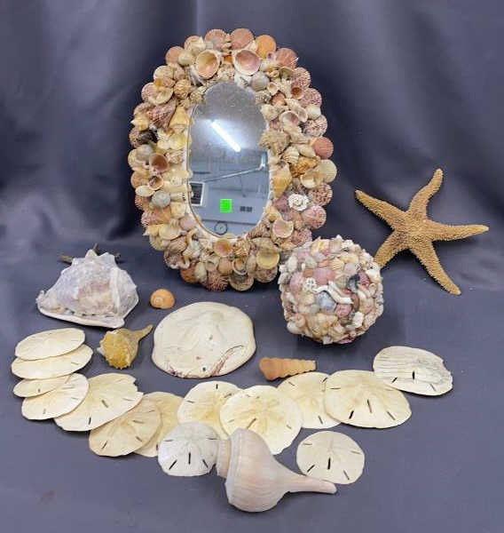Shell Framed Wall Mirror, Seashells