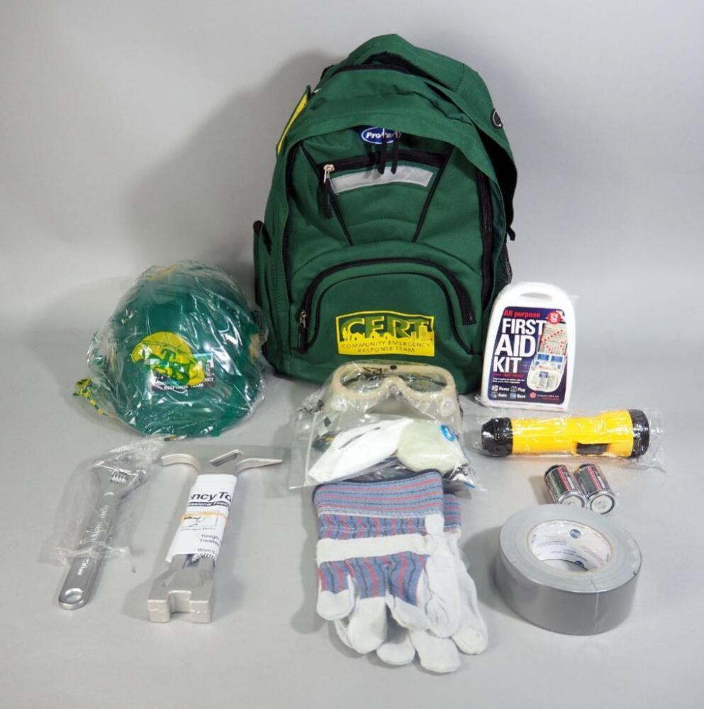 CERT (Community Emergency Response Team) Training - ESI 2001