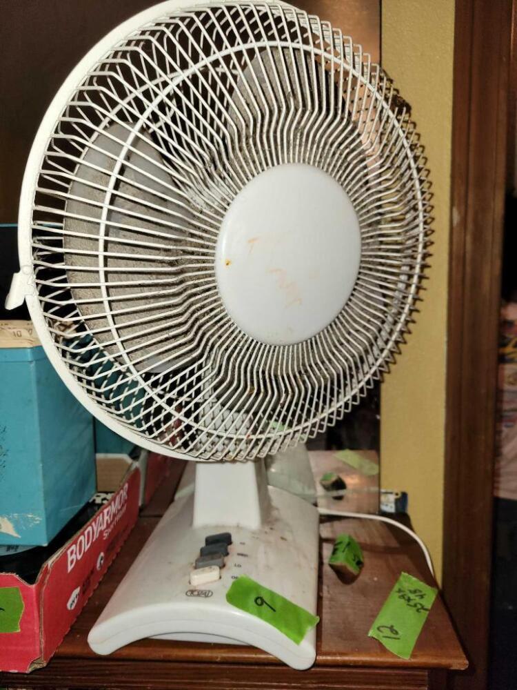 Fan