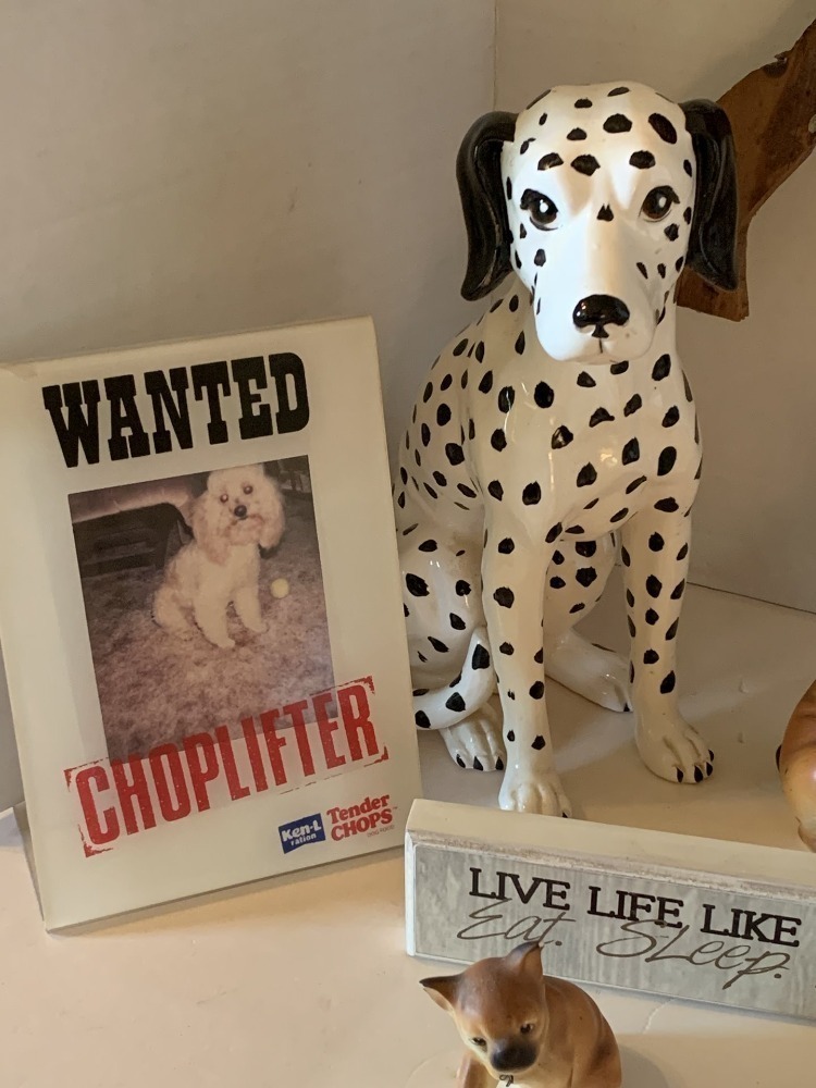 SHELF LOT OF DOGS (2 WALL PLAQUE, FRAME, 8 FIGURINES, 1 WOOD YARD DOG) - LR