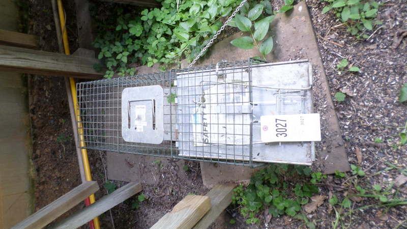 Racoon Cage