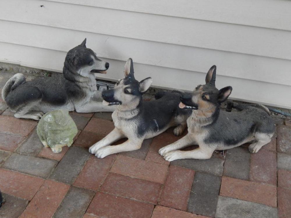 (4) Dogs