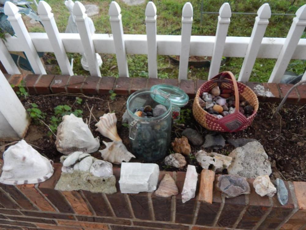 Seashell & Rock Collections