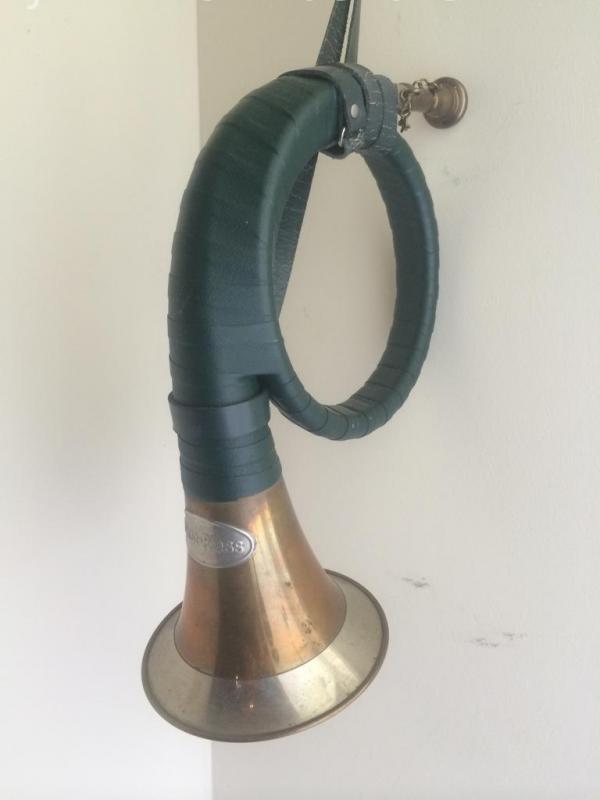 Brass horn