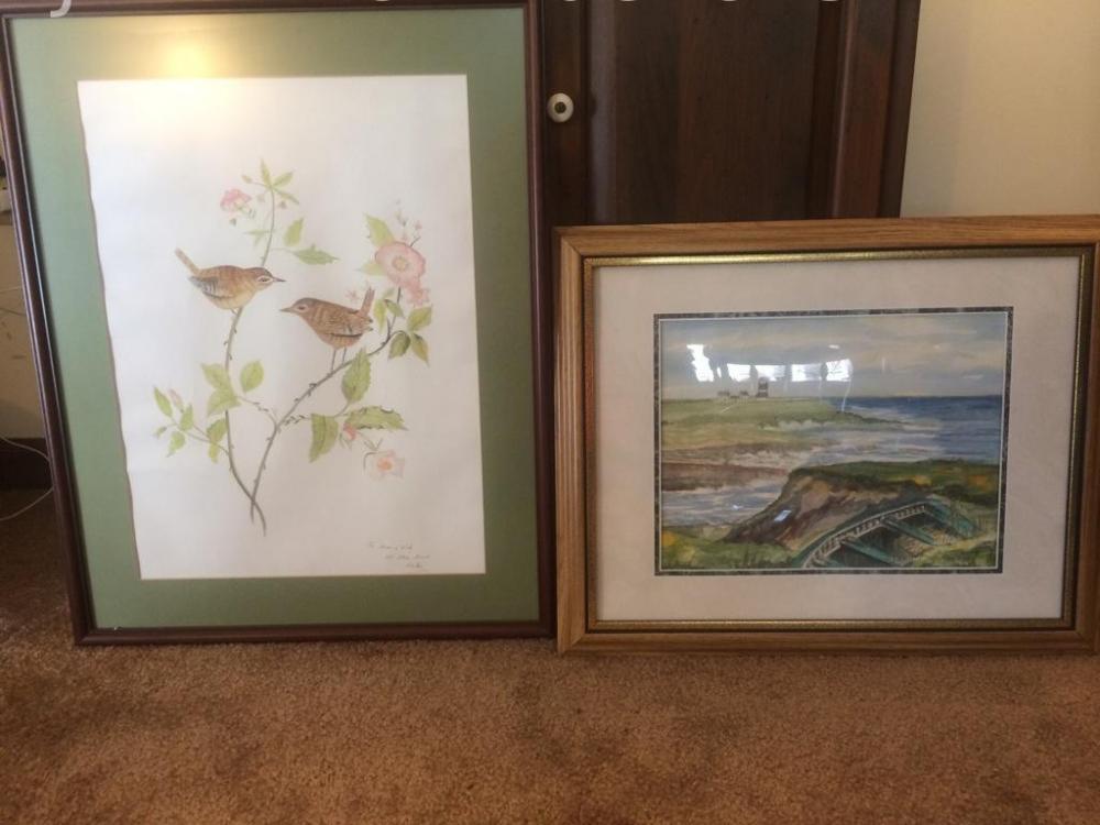 2 Framed watercolor pictures