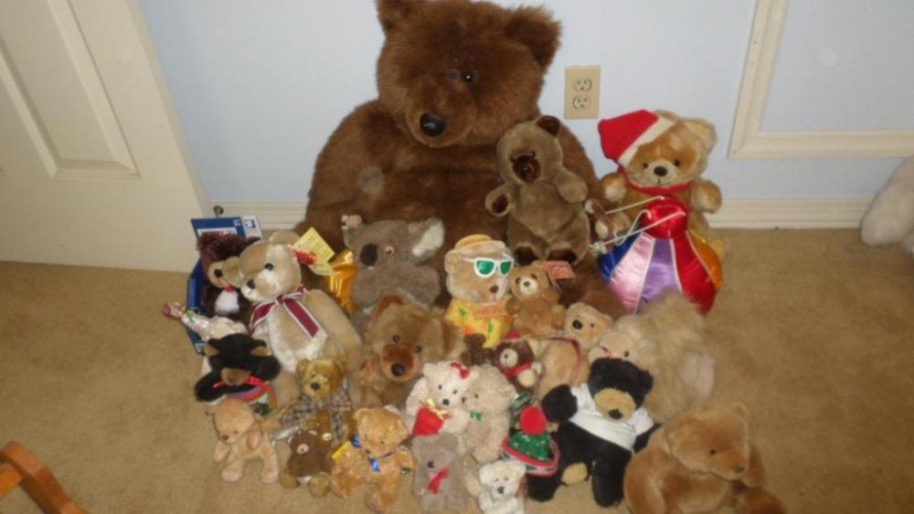 Miscellaneous Stuffed Teddy Bear Lot