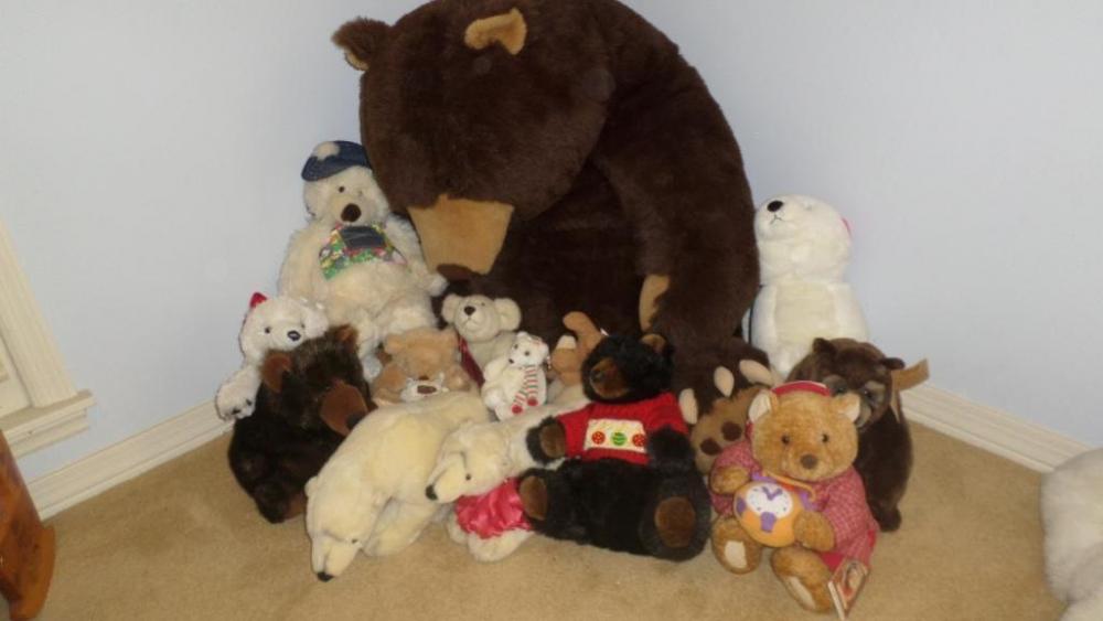 Miscellaneous Stuffed Teddy Bear Lot