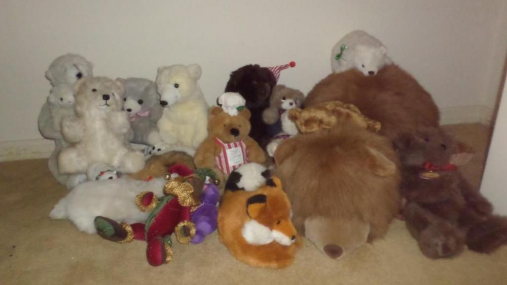 Miscellaneous Stuffed Teddy Bear Lot
