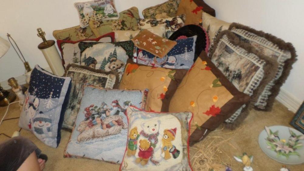 Pillow Lot