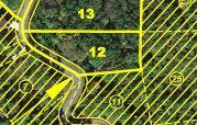 38 BALSAMWOOD RD, Phase 1 Lot, 12 1 Acres