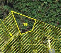 TREMORRA TRL, Phase 1 Lot, 19 1.03 Acres