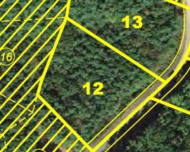 29 TALLWOOD RD, Phase 2 Lot, 12 1.31 Acres
