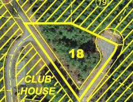 4 SPRUCE TREE CT, Phase 2 Lot, 18 1 Acres