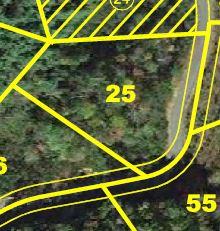 21 MOUNTAIN MAGNOLIA DR, Phase 2 Lot, 25 1.3 Acres