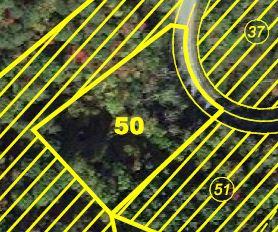 70 MOUNTAIN MAGNOLIA DR, Phase 2 Lot, 50 1.2 Acres